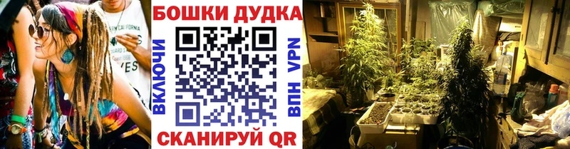 Конопля LSD WEED  Нолинск 